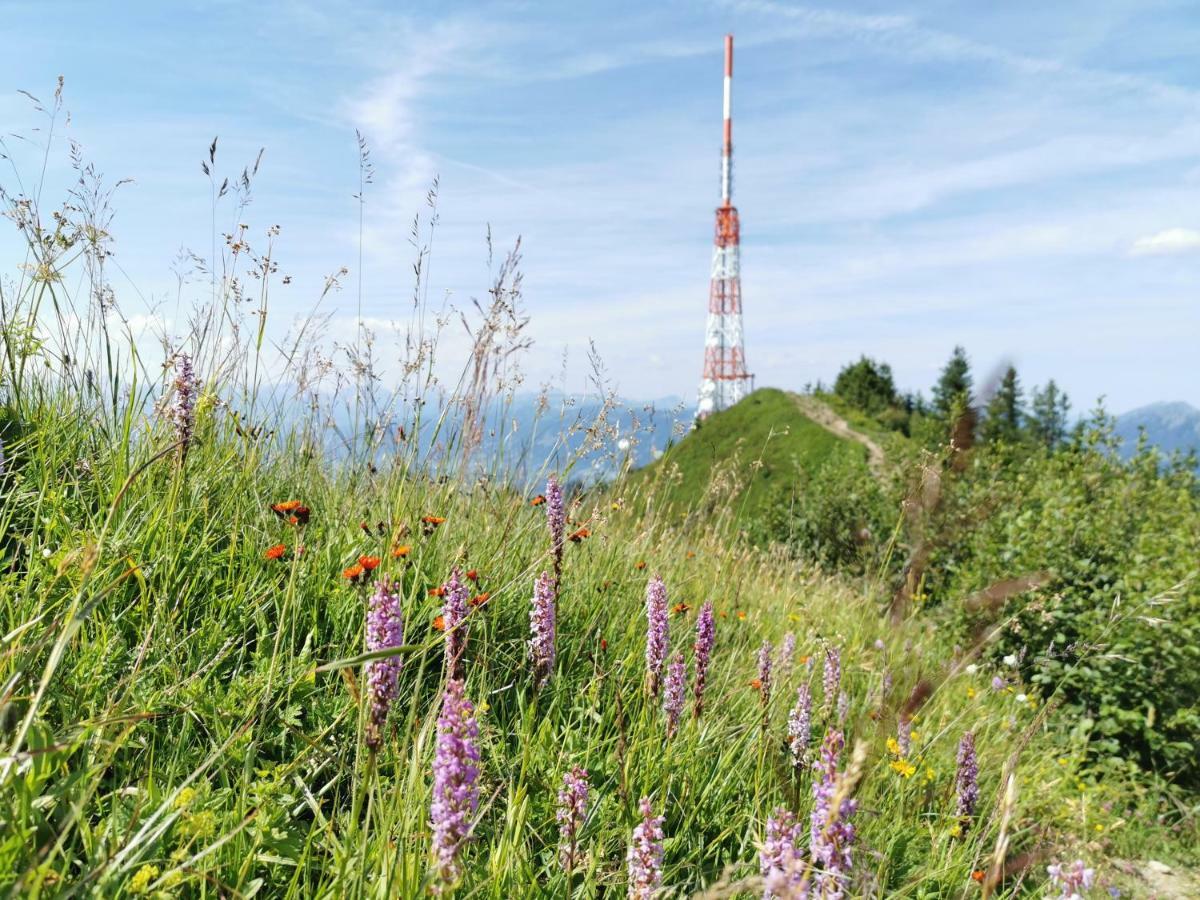 Ferienwohnung Am Eichwald Immenstadt im Allgaeu Ngoại thất bức ảnh